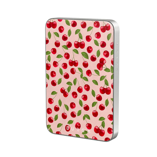 BA_04MS_MagPbank5K-SI