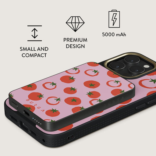 Salsa - Magnetic Power Bank 2