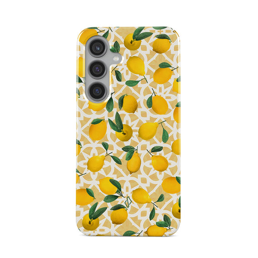 LL_01_S24PL_TH-magnetic