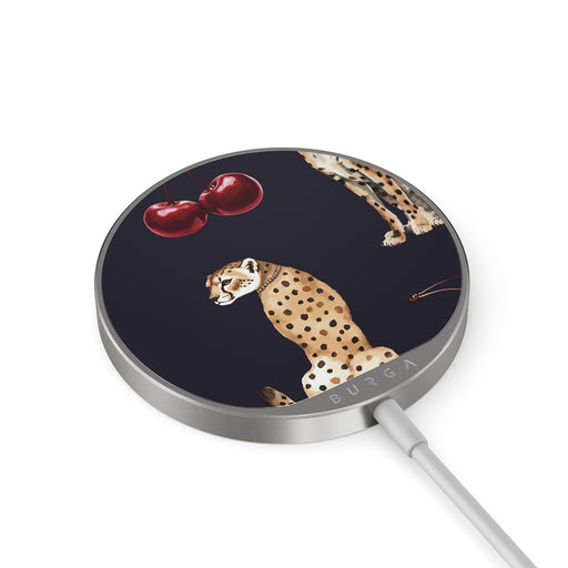 PA_01MC_MAGNETIC_WRLS_CHRG-SILVER