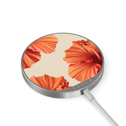 RS_10MC_MAGNETIC_WRLS_CHRG-SILVER