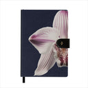Nectar - Notebook