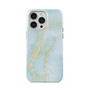 Sea Salt - iPhone 13 Pro Max Case 5